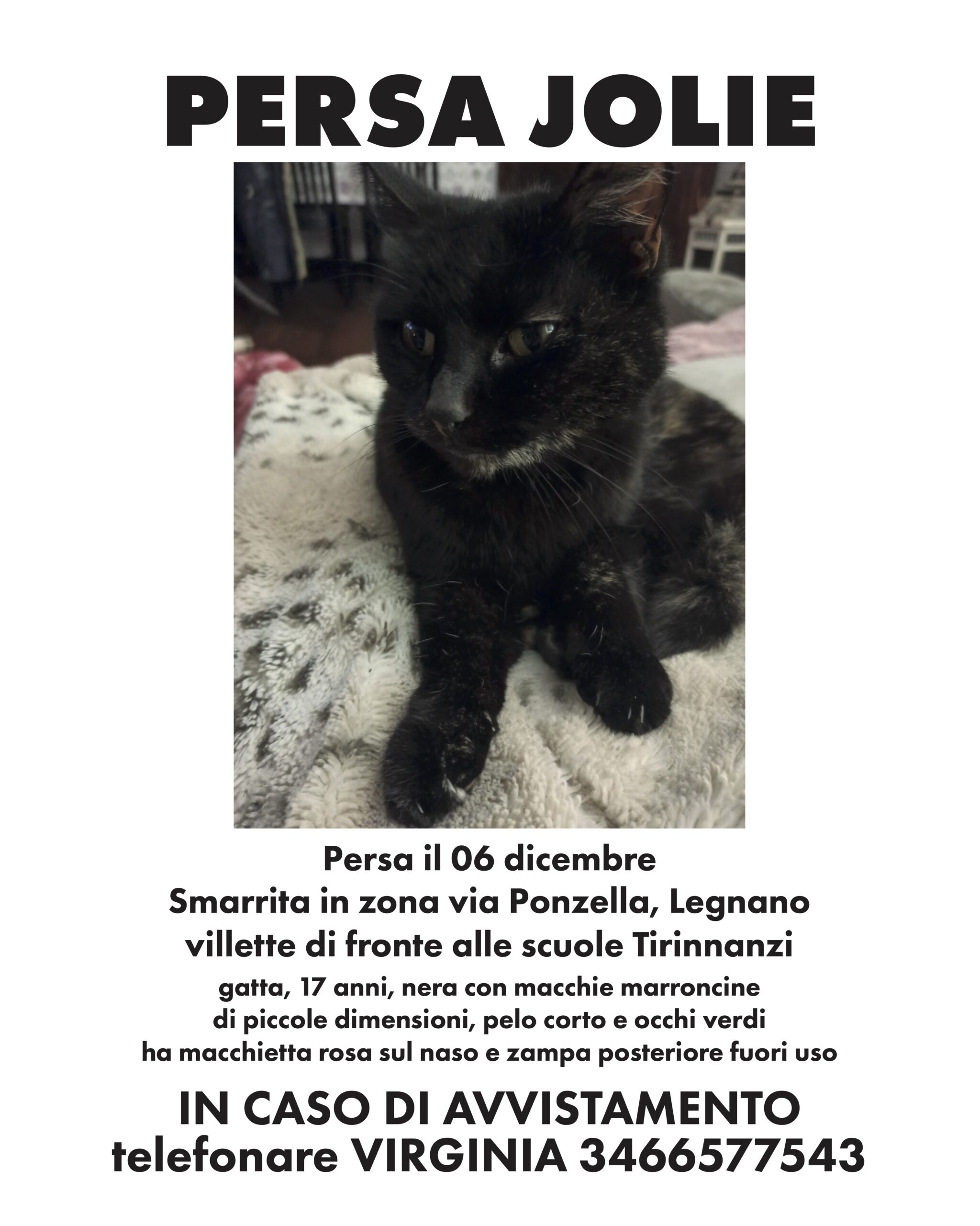 perso_jolie copia