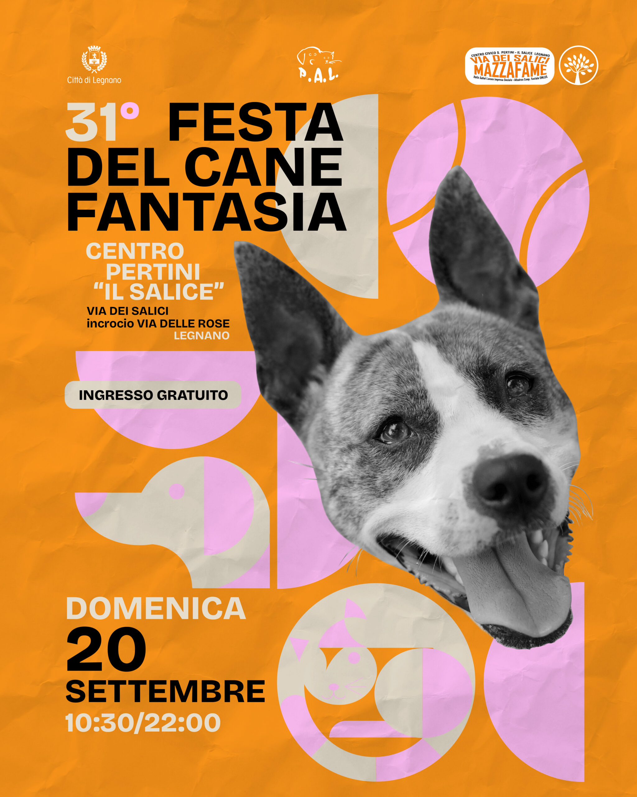 IG_Poster_CaneFantasia